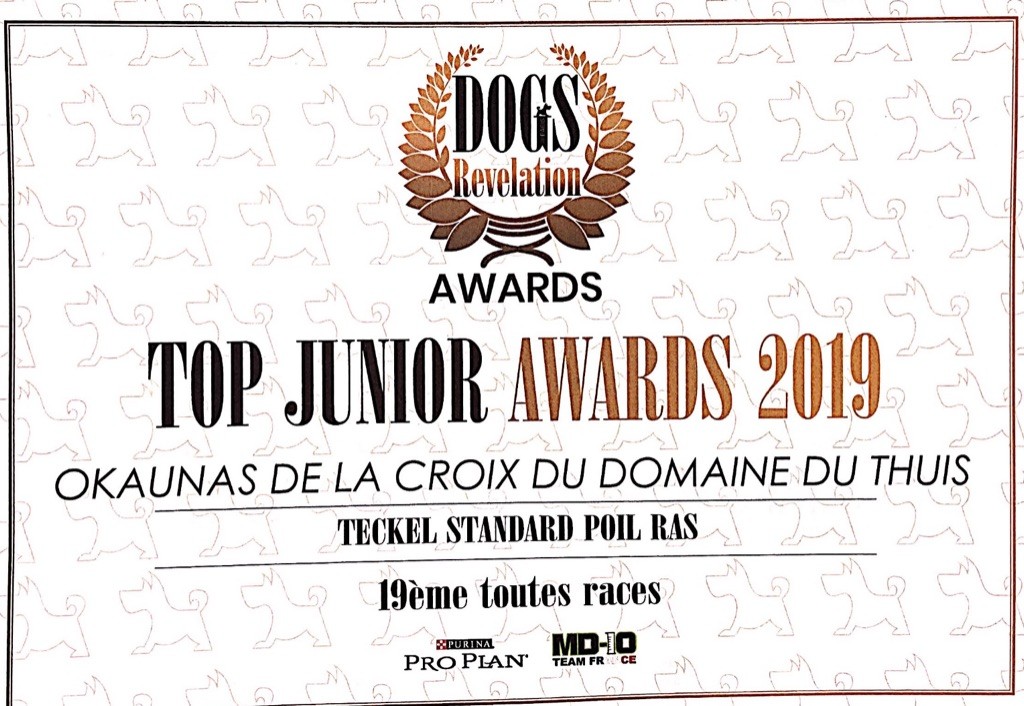 de la croix du domaine du thuis - DOGS AWARDS 2019